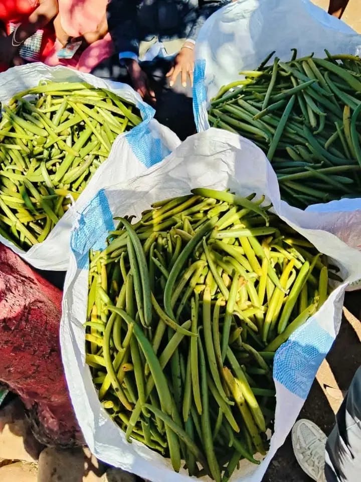 Vanilleplantage in de SAVA-regio, Madagascar